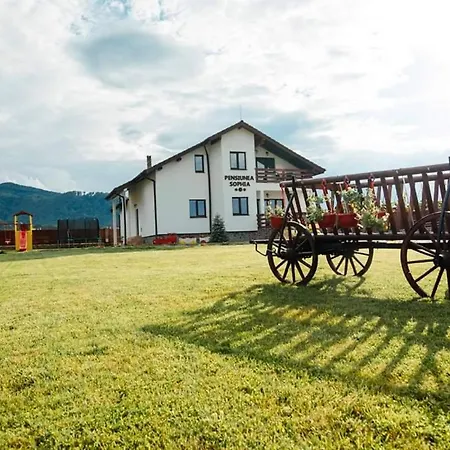Pensionat Pensiunea Sophia